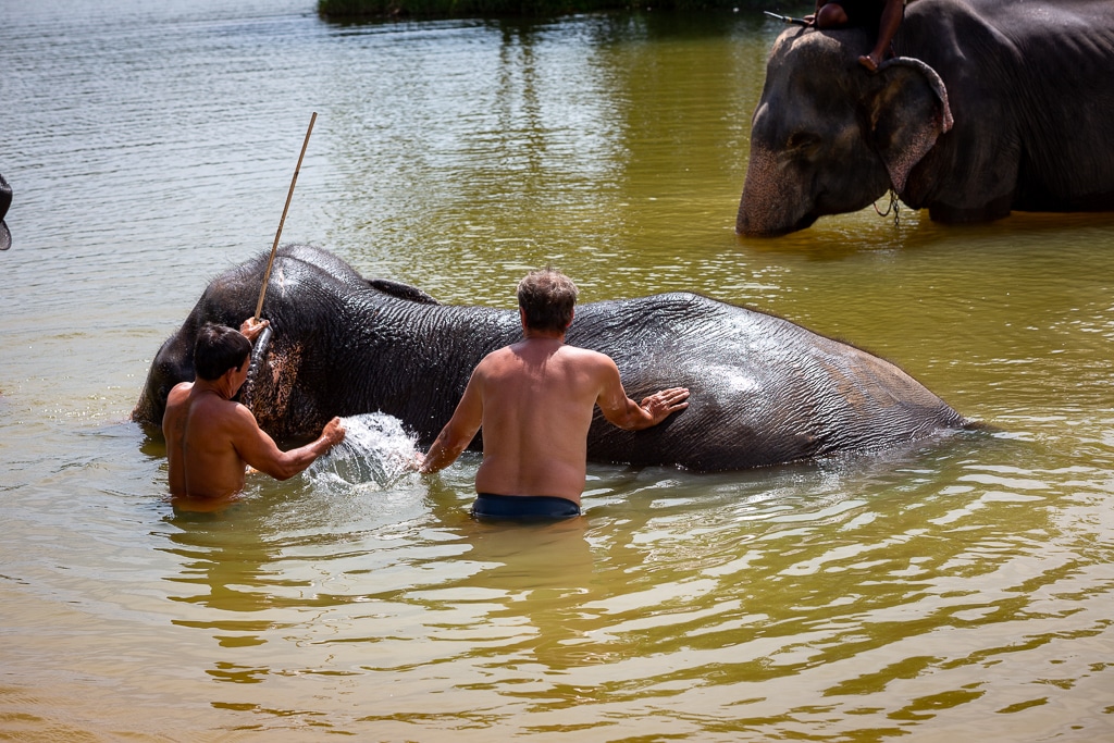 Elefanten baden - Mr. Moo Tours Khao Lak